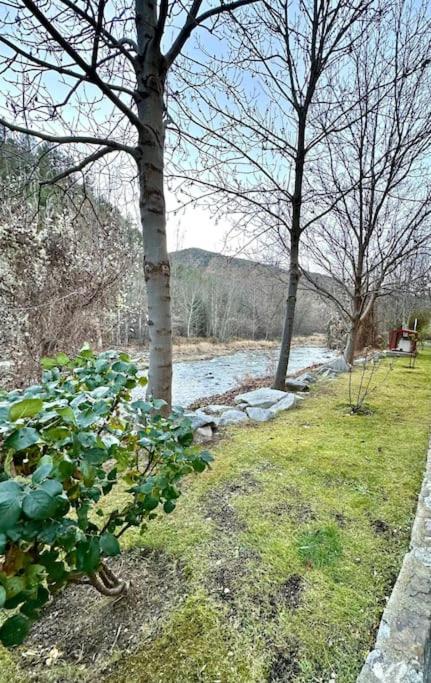 Acogedor Alojamiento En Martinet, Cerdanya, Puigcerda Εξωτερικό φωτογραφία