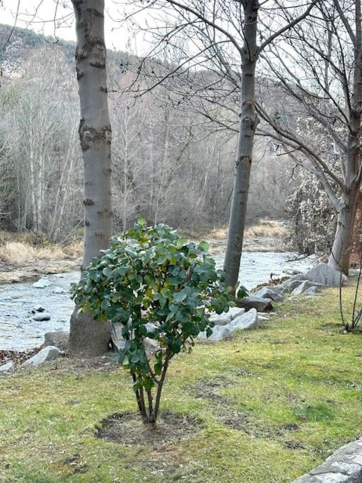 Acogedor Alojamiento En Martinet, Cerdanya, Puigcerda Εξωτερικό φωτογραφία