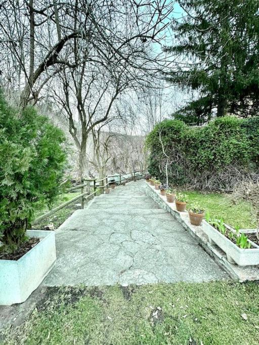 Acogedor Alojamiento En Martinet, Cerdanya, Puigcerda Εξωτερικό φωτογραφία